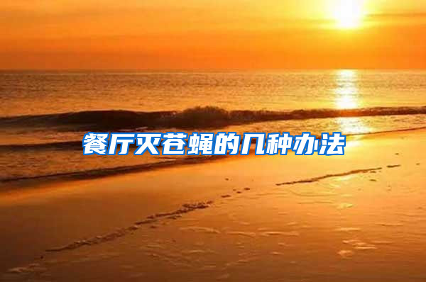 餐廳滅蒼蠅的幾種辦法
