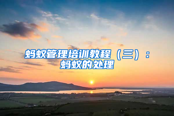螞蟻管理培訓(xùn)教程（三）：螞蟻的處理