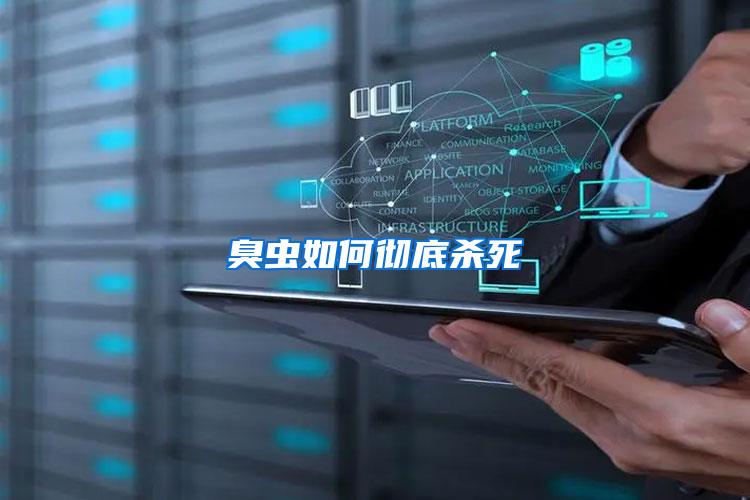 臭蟲(chóng)如何徹底殺死