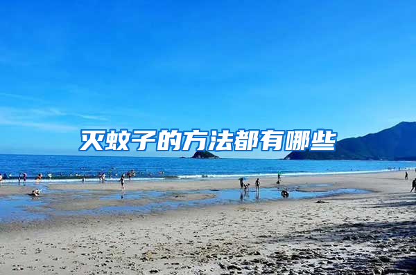 滅蚊子的方法都有哪些