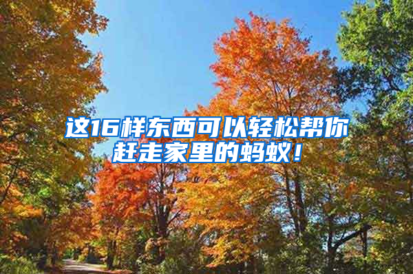 這16樣東西可以輕松幫你趕走家里的螞蟻！