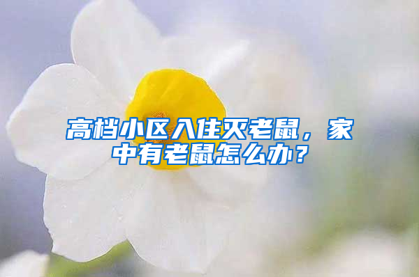 高檔小區入住滅老鼠，家中有老鼠怎么辦？