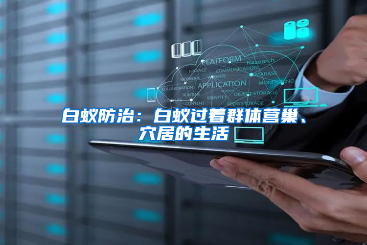 白蟻防治：白蟻過著群體營(yíng)巢、穴居的生活