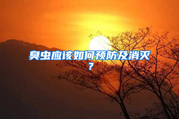 臭蟲應該如何預防及消滅？