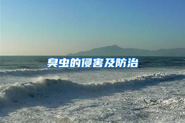 臭蟲的侵害及防治