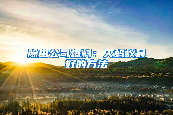 除蟲公司爆料：滅螞蟻最好的方法
