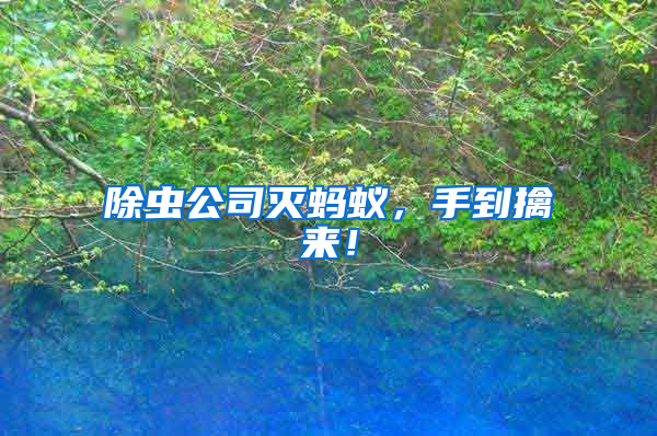 除蟲公司滅螞蟻，手到擒來！