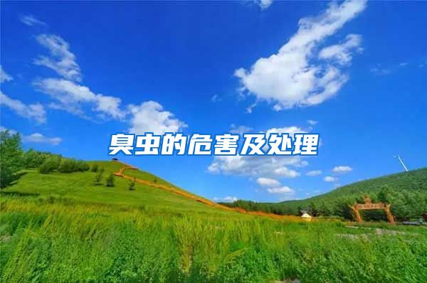 臭蟲的危害及處理