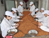 四害消殺：食品、加工行業(yè)