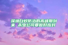 深圳白蟻防治的高峰期到來 殺蟲公司要做好應(yīng)對(duì)