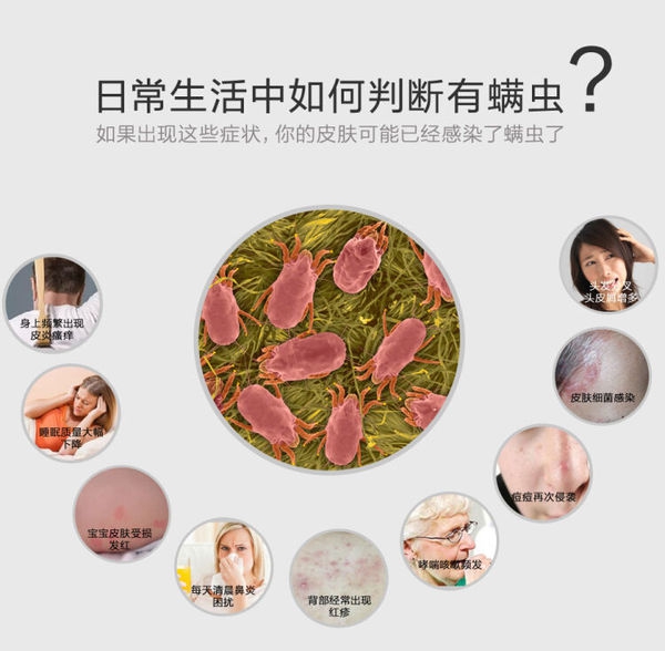 深圳殺蟲公司